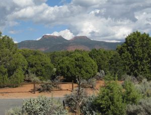 Bears Ears formation in Utah. Photo from: https://www.flickr.com/photos/brewbooks/5422149370