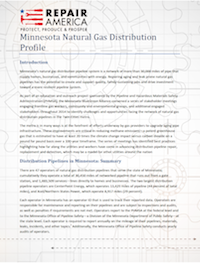 MN-Nat-Gas-Distribution-Profile